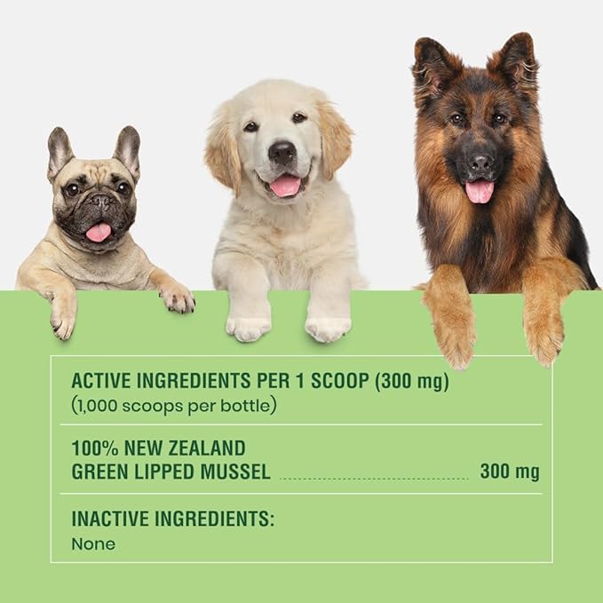 Green Lipped Mussels for Dogs & Cats - Premium Joint Supplement Powder for HIPS, Joints, and Muscles (300 Grams, Up to 1,000 Servings) - 3 Pack