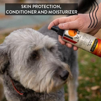 Hot Spot Spray Holistic Natural Derived Herbal for Dogs, Cats and Horses: Fast Acting to Soothe Hot Spots, Relieve Irritated Skin, Rash, and Seasonal Allergies - Made in USA - 8 oz