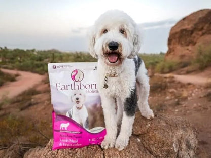 Earthborn Holistic Meadow Feast Grain-Free Natural Dry Dog Food, 4 lb