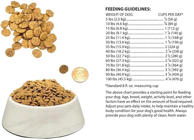 Bench & Field Holistic Natural Adult Dry Dog Food, Chicken Meal and Brown Rice Recipe 12 lb Bag (Pack of 1)