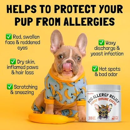 Allergy Relief Chews for Dogs & Immune & Digestive Supplement with Wild Salmon Oil Kelp Colostrum Turmeric Probiotics & Bee Pollen for Seasonal Allergies Anti Itch, Skin Hot Spots Soft Treats