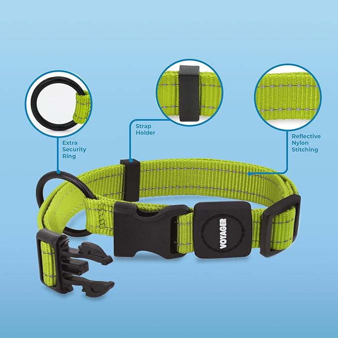 Voyager Reflective Dog Leash Collar Set with Neoprene Handle Supports Small, Medium, and Large Breed Puppies, Cute and Heavy Duty for Walking, Running, and Training - Lime Green, S