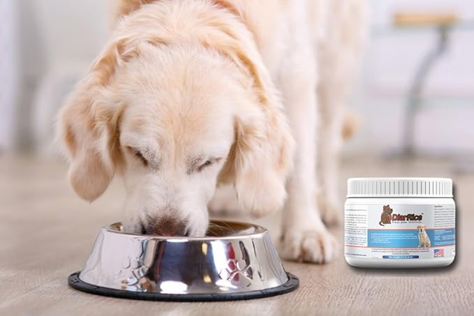 Probiotic for Dog Diarrhea, Anti Diarrhea for Dogs, Diarrhea Medicine for Dogs' Bloating, Gas, and Stomach Discomfort. Puppy Probiotics for Diarrhea. Dogs Upset Stomach Relief Medication.