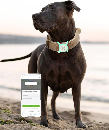 Joytale [ NO APP Required ] Silent Silicone QR Code Dog Tag, Slide On Dog Tags for 1 Inch Wide Collars or Vest, NFC Pet Online Profile, Scan QR to Send Location Alert Email, Teal, M