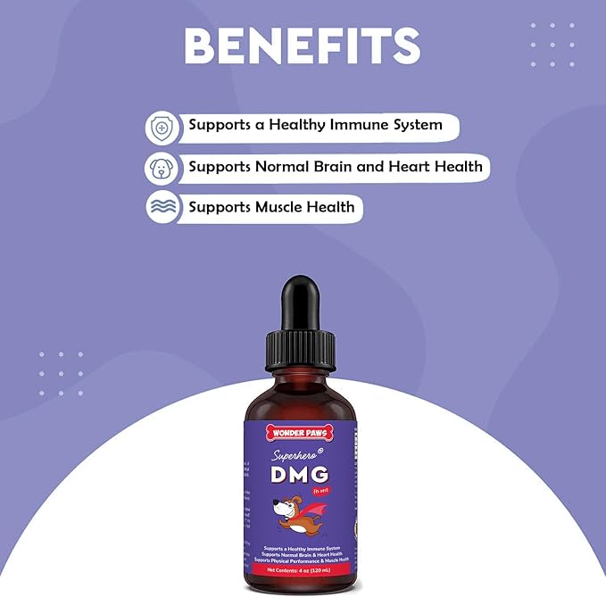 Premium DMG for Dogs – DMG Liquid to Support Immune Health, Skin, Stamina, Muscles, Stress & Performance - Dimethylglycine (DMG) for All Ages, Sizes & Breeds – 4oz