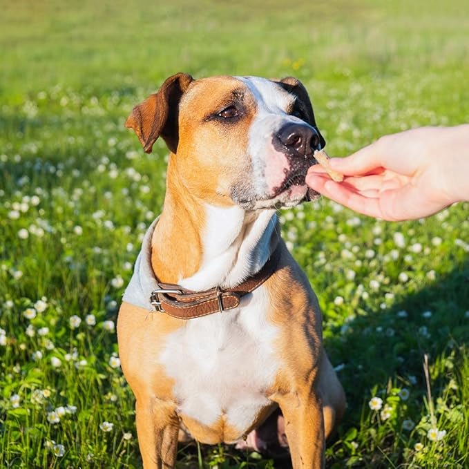 Bixbi Liberty Hip & Joint Jerky Dog Treats 2 Flavor Variety, (1) Each: Beef Lung, Chicken (5 Ounces) Plus Rope Toy and Fun Facts Booklet Bundle