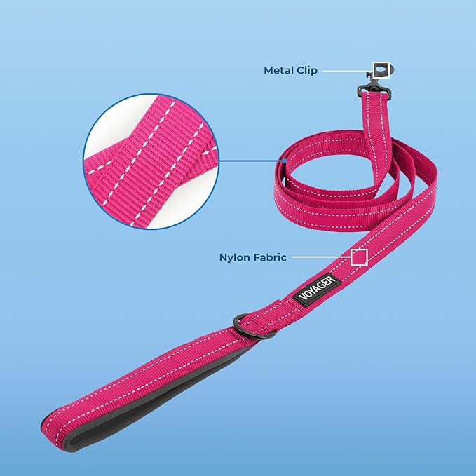 Voyager Reflective Dog Leash with Neoprene Handle, 5ft Long, Supports Small, Medium, and Large Breed Puppies, Cute and Heavy Duty for Walking, Running, and Training - Fuchsia (Leash), L