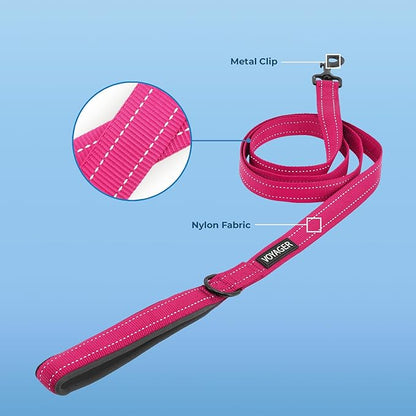 Voyager Reflective Dog Leash with Neoprene Handle, 5ft Long, Supports Small, Medium, and Large Breed Puppies, Cute and Heavy Duty for Walking, Running, and Training - Fuchsia (Leash), S
