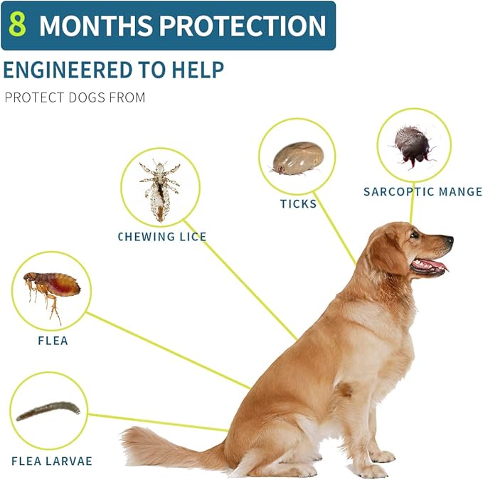 Flea and Tick Collar for Dogs, 8 Month Flea and Tick Prevention for Dogs, 27 inch Adjustable