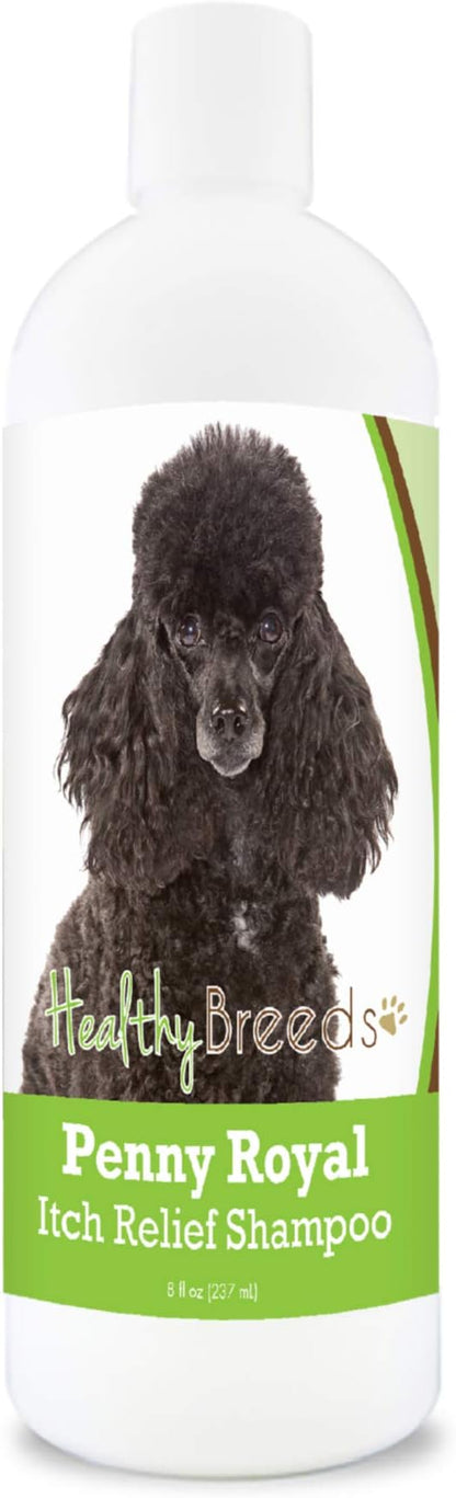 Healthy Breeds Poodle Penny Royal Itch Relief Shampoo 8 oz