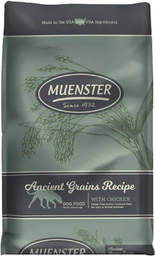 Muenster Ancient Grains Dog Food (22lb) - Chicken Flavored Dry Dog Food for Large Dogs - Gluten Free, Non-GMO High Protein Dog Food - Healthy Digestive Large Breed Dog Kibble
