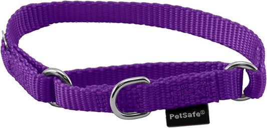 PetSafe Martingale Collar, 3/8" Petite, Deep Purple