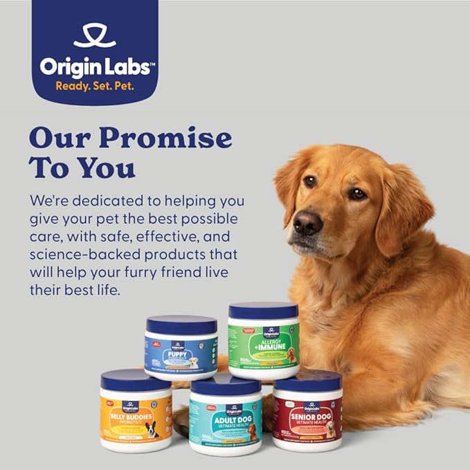 Adult Dog Multifunction Support, Omega 3 Supplement, Gut Health Probiotics, Immune Support, Heart, Skin, Liver, Brain, Joint Health, Glucosamine Chondroitin, Bacon Flavor, 90 Soft Chews