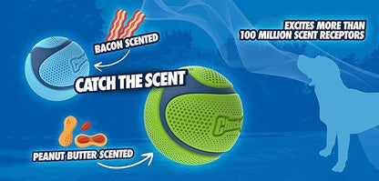 Chuckit! Sniff Ball Dog Toy, Durable High Bounce Bacon Scented Rubber Dog Ball Fetch Toy, Medium, 1 Pack