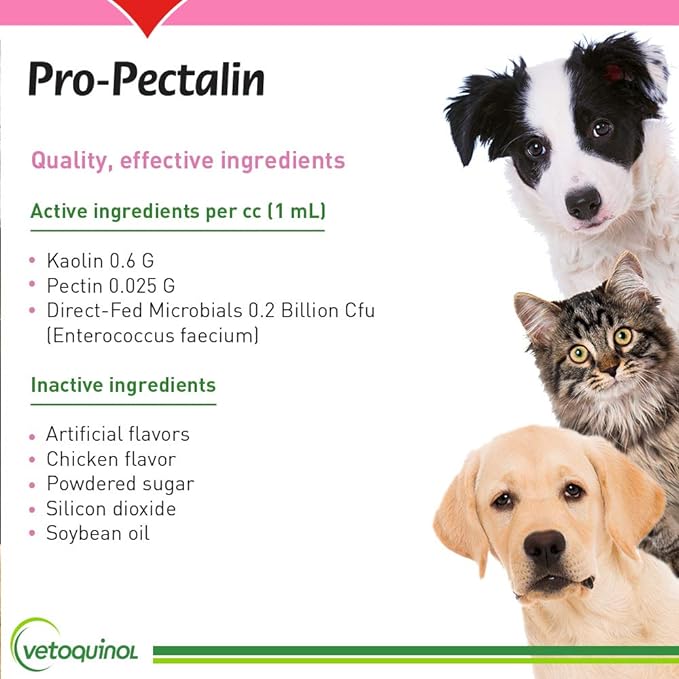 Vetoquinol Pro-Pectalin Oral Paste for Dogs & Cats – Chicken Flavor – Helps Reduce Occasional Loose Stool & Diarrhea, Balance Gut pH, Support Normal Digestion