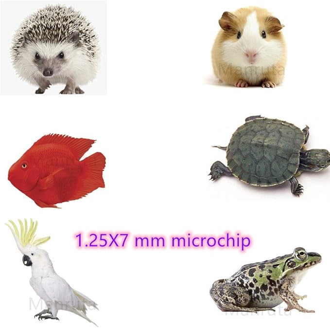Microchip ID Bioglass Transponder Tag Injectable with Sharp Needle 5 Pack Mini Size 1.25X7 MM for Dogs Cats Hamster Small Fish Bird Snake Kitty and Little Animals with 15 Digit Numbers
