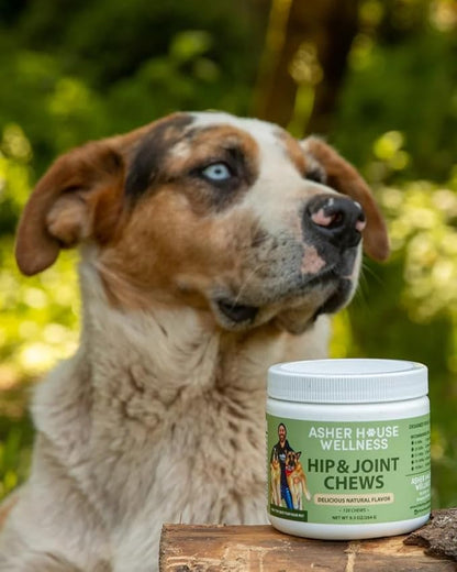 ASHER HOUSE WELLNESS | Hip and Joint Soft Chew Supplement for Dogs | All Natural | 120 Chews | Glucosamine | Condroitin