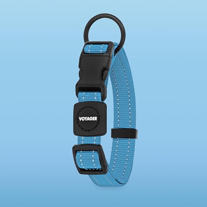 Voyager Reflective Dog Leash Collar Set with Neoprene Handle Supports Small, Medium, and Large Breed Puppies, Cute and Heavy Duty for Walking, Running, and Training - Baby Blue, M