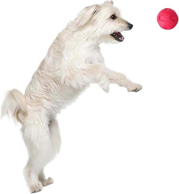 Nerf Dog 2.5in Soccer Squeak Ball - Red, Dog Toy