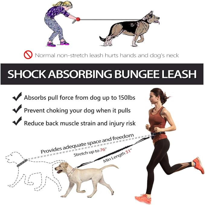 Hands Free Dog Leash, Waist Leash for Dog Walking, Running Leash with Zipper Pouch for Medium Large Dogs, Dual Handle and Retractable Bungee Hands Free Leash for Training Jogging Hiking