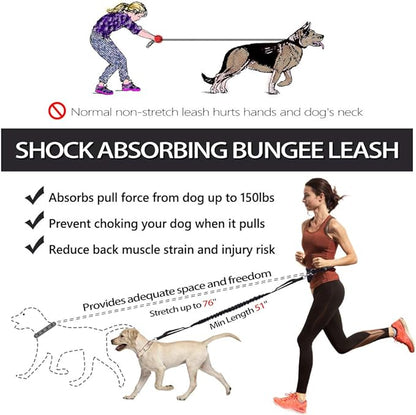 Hands Free Dog Leash, Waist Leash for Dog Walking, Running Leash with Zipper Pouch for Medium Large Dogs, Dual Handle and Retractable Bungee Hands Free Leash for Training Jogging Hiking