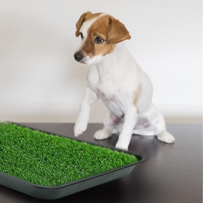 Dog Grass Pad with Tray, Dog Potty Grass for Puppy Training, Artificial Fake Grass for Dogs to Pee on Indoor Outdoor