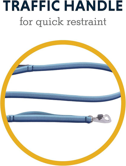 Ruffwear, Front Range Dog Leash, 5 ft Lead with Padded Handle for Everyday Walking, Coastal Fade