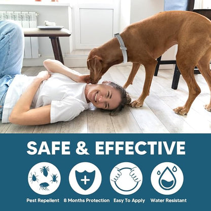 Dog Flea Tick Collar, Flea & Tick Prevention for Dogs, 8 Months Protection Dog Flea Collar, Adjustable Collar Fits Large Dogs & Puppies, Flea Treatment Collar for Dogs 2 Pack