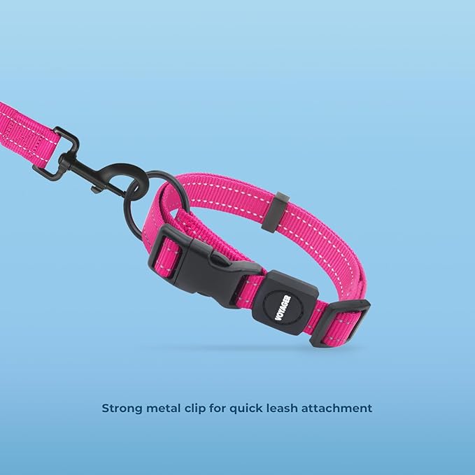 Voyager Reflective Dog Leash Collar Set with Neoprene Handle Supports Small, Medium, and Large Breed Puppies, Cute and Heavy Duty for Walking, Running, and Training - Fuchsia, M