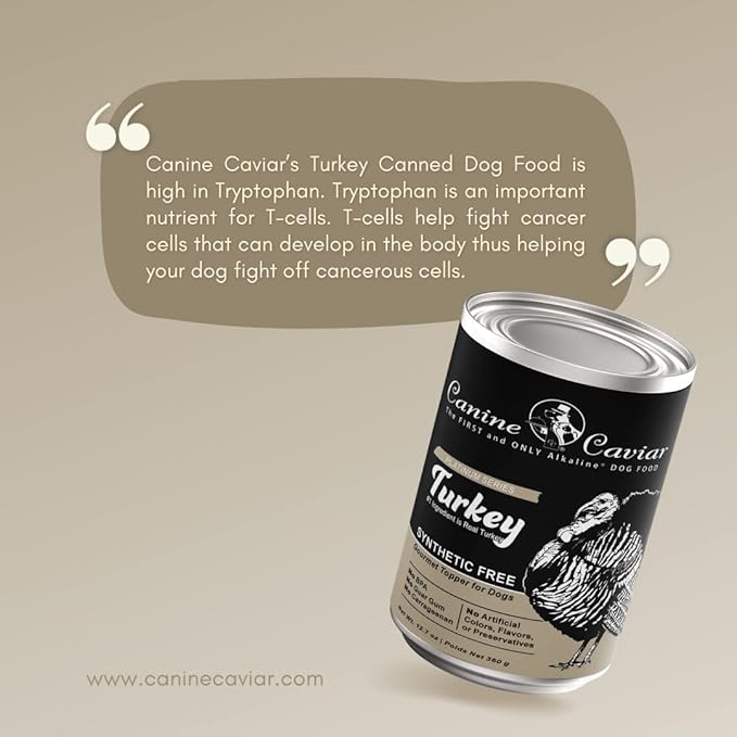 Canine Caviar Wet Dog Food - Turkey Flavored Canned Dog Food 12 Pack (12 oz), Grain and Synthetic Free Gourmet Topper, Wet Dog Food for Small Dogs, Medium Dogs, and Large Dogs