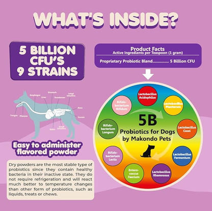 Probiotics for Dogs & Puppies–Extra Strength 9 Species, 5 Billion CFU per Scoop of Dog Probiotics and Digestive Enzymes for Dogs. Support Fiber for Dogs & Dog Allergy Relief– Powder Probiotic for Dogs