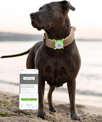 Joytale [ NO APP Required ] Silent Silicone QR Code Dog Tag, Slide On Dog Tags for 1.2-1.6Inch Wide Collars or Vest, NFC Pet Online Profile, Scan QR to Send Location Alert Email, Green, L