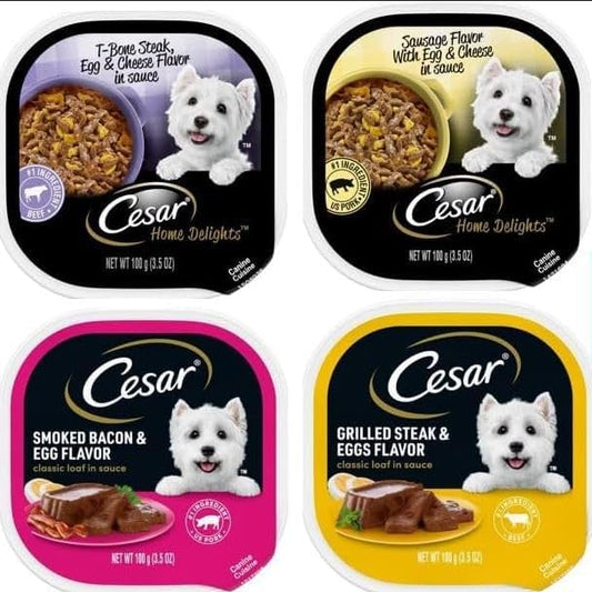 Cesar Wet Dog Food Breakfast Bundle - 4 Flavor Variety Pack, 3.5 Oz Each - Pack of 8, Plus My Buddy Notepad