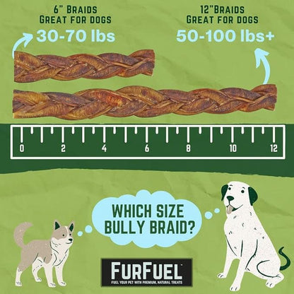 Braided Bully Sticks Variety Pack for Dogs - Suitable for Small, Medium, and Large Breeds – 3 Pack of 12-Inch Dog Bully Sticks - Low Odor, All-Natural Chew (12 Inch, 3 Count)