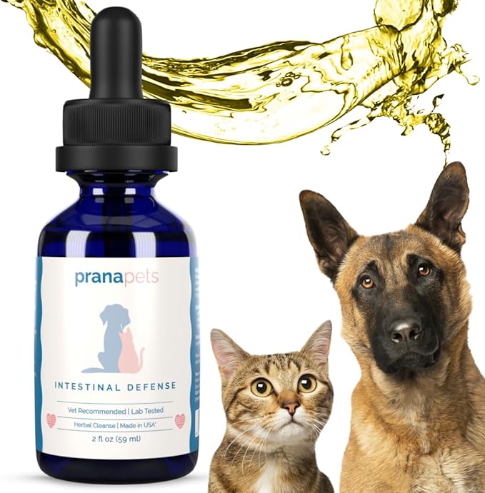 Intestinal Defense Supplement for Dogs & Cats | Naturally Helps Digestive Issues in Pets | Herbal Formula | by Prana Pets