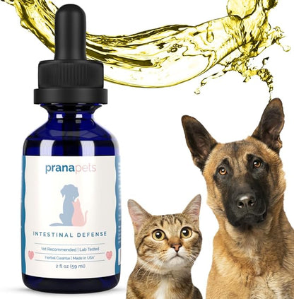 Intestinal Defense Supplement for Dogs & Cats | Naturally Helps Digestive Issues in Pets | Herbal Formula | by Prana Pets
