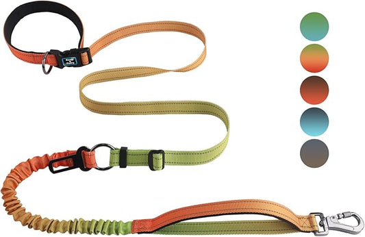 Roses&Poetry Dog Running Leash Hands Free,No Pull Bungee Dog Running Waist Leash for Walking Training with Car Seatbelt 4-6FT