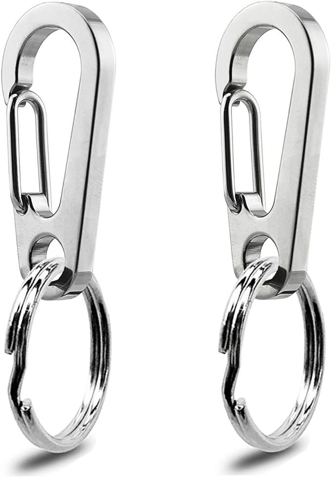IVIA Dog Tag Clips / 2 Pack/Multiple Size 304 Stainless Steel Quick Clip with Rings/Easy Change Dog Cat ID Tag Holder for Small pet Collars and Harnesses.(2 Large Silver)