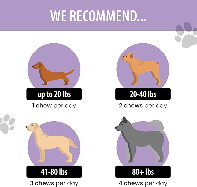 Dog for Dog Hip and Joint Supplement dogs - 90 Bacon Flavor Chews- Hip and Joint Chews for Dogs | Dog Joint Support Supplement for Dogs | Glucosamine for Dogs Hip and Joint Supplement