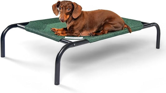 Coolaroo The Original Cooling Elevated Pet Bed,Brunswick Green, Small