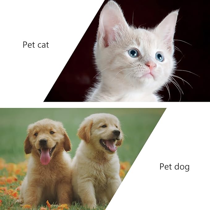 Mipcase 2pcs Pet Toothbrush Cleaning for Household Use Child Toothbrush Kids Tooth Brush Pet Oral Dental Toothbrush Dog Toothbrush Pet Teeth Cleaners Pet Oral Care Tools Pp