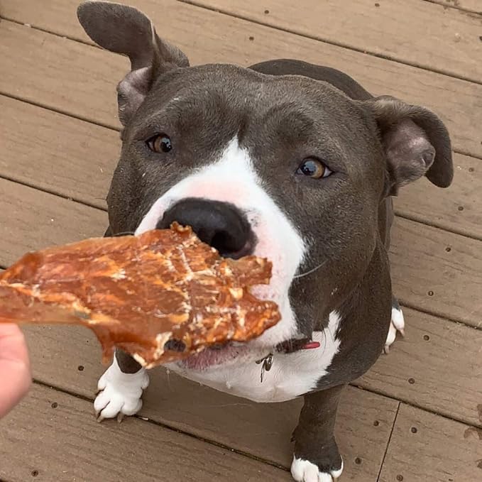 Dog Jerky Treats – Premium Turkey Breast – Dog Treats Made in USA Only. All Natural – Grain Free, No Preservatives – Turkey Jerky for Dogs & Cats – Irresistible Training Treat