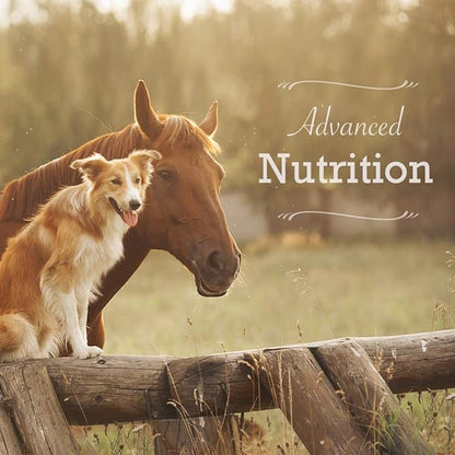 Animal Health Solutions - Spunky Level II, Joint Aid that Helps Digestion for Any Dog (1 pound)