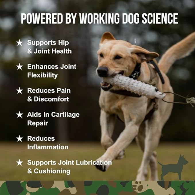 Operation Good Boy - SRE: Hip and Joint Supplement for Pets - 90 Count Soft Chews - 12.7oz - Made Natural Ingredients - Veteran Owned