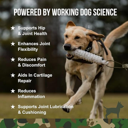 Operation Good Boy - SRE: Hip and Joint Supplement for Pets - 90 Count Soft Chews - 12.7oz - Made Natural Ingredients - Veteran Owned