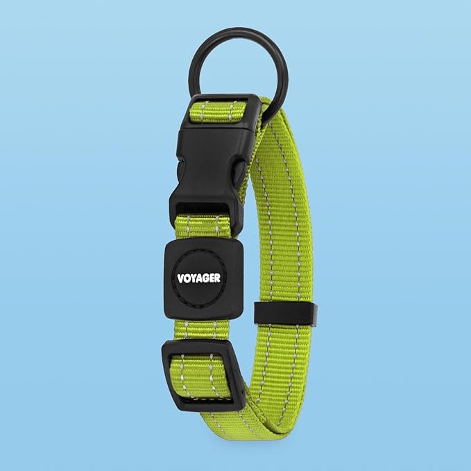 Voyager Reflective Dog Leash Collar Set with Neoprene Handle Supports Small, Medium, and Large Breed Puppies, Cute and Heavy Duty for Walking, Running, and Training - Lime Green, M