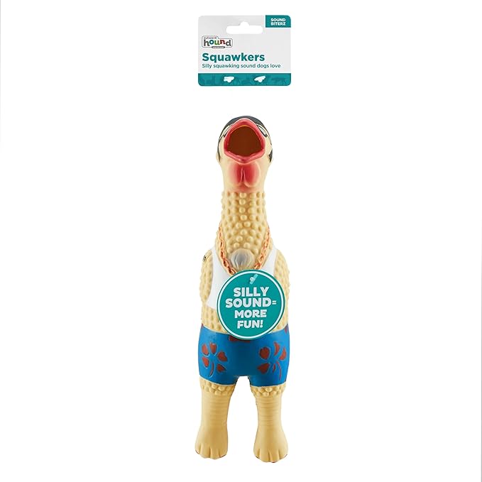 Outward Hound Squawkers Earl Latex Rubber Chicken Interactive Dog Toy, Large