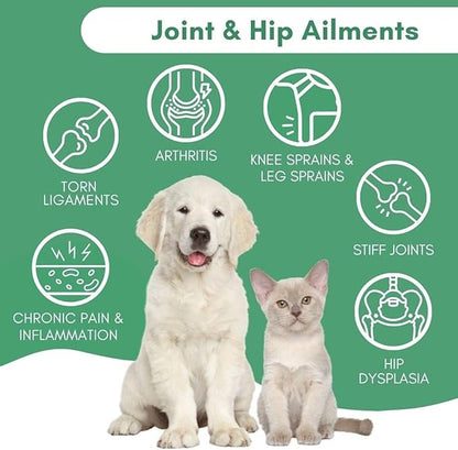 BestLife4Pets Walk Easy Hip and Joint Supplement for Dogs & Cats - Arthritis Pain Relief and Anti inflammatory Support Pills for Dogs & Cats Joint Pain Relief - Easy to Use Natural Pills