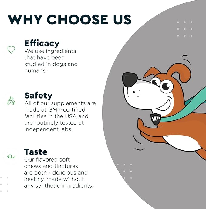 Premium Liquid Glucosamine for Dogs Strength Joint Support, Flexibility, Cartilage & Mobility - Hip and Joint Supplement with Chondroitin, MSM, Collagen & Hyaluronic Acid (16 Oz)