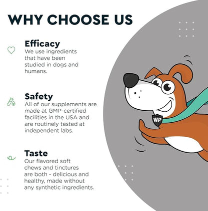 Premium Liquid Glucosamine for Dogs Strength Joint Support, Flexibility, Cartilage & Mobility - Hip and Joint Supplement with Chondroitin, MSM, Collagen & Hyaluronic Acid (16 Oz)